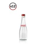 Hayat 330 ml Cam Şişe Su