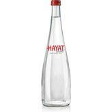 Hayat Cam 750 ml Su