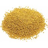 Hayfene 1 kg Sarı Hardal Tohumu