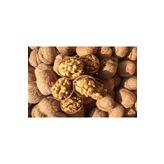 Hekimhan 250 ml Bitkisel Hindistan Cevizi Yağı