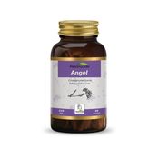 Hekimzade Angel 650 mg 90 Kapsül