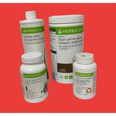 Herbalife 4 lü paket Shake aloe çay thermo