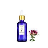 Herbs & Oils 50 Ml Hanımeli Yağı