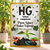Hg Para Ağacı Saksı Toprağı - 5 Lt