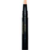 Highlighting Concealer HC01