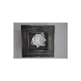 Hly Ceramics Porselen Manolya Çiçeği Tekli