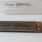 HM0116 MIZIKA 16 DELİK PROFESSIONAL HARMONICA ŞEFFAF KUTULU