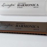 HM0120 MIZIKA 20 DELİK PROFESSIONAL HARMONICA ŞEFFAF KUTULU
