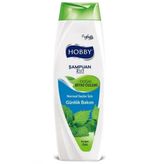 Hobby 600 ml Isırgan Özlü Şampuan