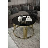 Home Plus Mobilya Piyano Gold Siyah Tekli Orta Sehpa Takımı