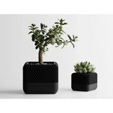 Homepod Square Dekoratif Saksı - Siyah Işlemeli Modern Bitki Saksısı 12 cm - 140x140x120mm