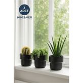HOMİNG 3 Adet Mini Dekoratif Saksı Siyah 241353
