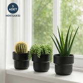 Homing Dekoratif Plastik Saksı Siyah 11 cm Ayaksız Modern Tasarım İç Mekan Kullanımı