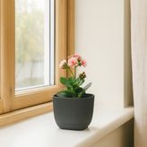 Homing Mini Kare Antrasit Saksı 242202