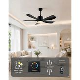 Hoogar German 105 cm 5 Kanatlı Black Tavan Vantilatörü