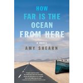 How Far Is the Ocean From Here: A Novel