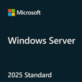 HPE P77100-A21 2025 Standart ROK Windows Server