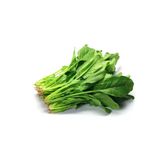 Hubrendy Tedarik Ispanak Tohumu 25 Gr