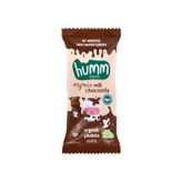 Humm Organic Sütlü Çikolata 13 gr