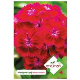 Hüsnüyusuf (dianthus Barbatus L.) Çiçek Tohumu 100 Adet