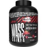 Hybuddy Nutrition Mass Gainer 4000GR - Çilek