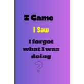 "I came. I saw. I forgot what I was doing.": My Mind’s Here… Somewhere