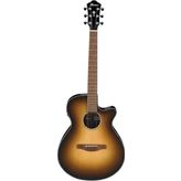 Ibanez AEG50-DHH Elektro Akustik Gitar