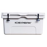 Icepeak Aden 65 lt Buzluk