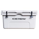 Icepeak Aden Plus 65 lt Buzluk