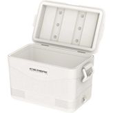 Icepeak Coolcraft 46 41.6 lt Beyaz Buzluk