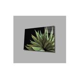 İdeal Glass Art Alovera Cam Tablo