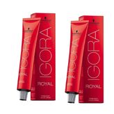 Igora Royal 8-11 Açık Kumral Yoğun Sandre x2 Saç Boyası