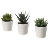 IKEA 3 Adet Yapay Bitki Kaktüs Meridyendukkan 6 Cm 3Lü Çiçek Yeşil Kaktüs