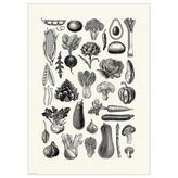 IKEA BILD poster çok renkli - 70601994