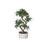 Ikea Fejka Saksılı Yapay Bitki, 16 Cm