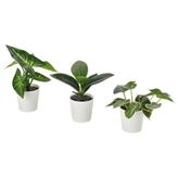 IKEA FEJKA saksılı yapay bitki yeşil - 40630064