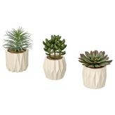 IKEA FEJKA saksılı yapay bitki yeşil - 60630063