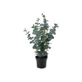 IKEA FEJKA Serisi, yapay bitki, 15 cm, yeşil yeşil #3b7d22