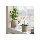 IKEA FEJKA Serisi, yapay bitki, 9 cm, beyaz beyaz #ffffff