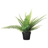 IKEA FEJKA yapay bitki yeşil - 40615252
