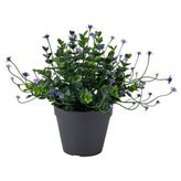 IKEA FEJKA yapay bitki yeşil - 80613251