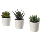 IKEA Fejka Yapay Saksı Bitkisi Saksılı İç Mekan Dış Mekan Etli / 3'lü Paket Boyutu 2 ¼ " 3'lü Paket 203.953.31