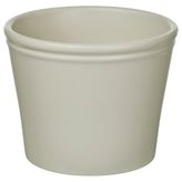 IKEA KÖRSBARSBJÖRK toprak saksı açık gri-bej - 00591719