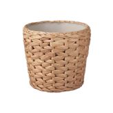 IKEA Rattan Saksı 12 cm Su Sümbülü