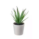 Ikea Saksılı Yapay Bitki, Yeşil, 6 Cm, Kaktüs