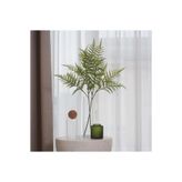 IKEA SMYCKA Yapay Bitki, Yeşil, 63 cm, Eğriltiotu