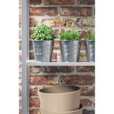 IKEA Socker Saksı