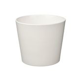 IKEA Sojabona Saksı 12 Cm 00533588