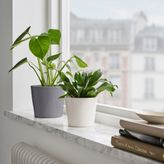 IKEA SOJABÖNA toprak saksı beyaz - 00533574