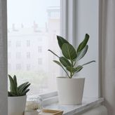 IKEA SOJABÖNA toprak saksı beyaz - 70533575
